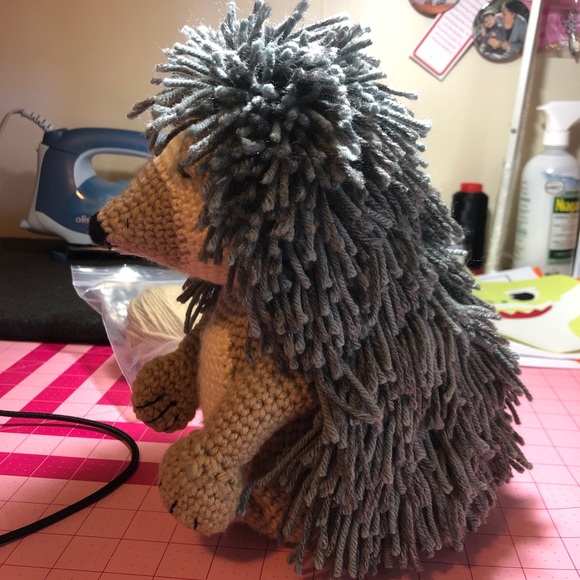 Eduardo the hedgehog. - Picture 2 of 4